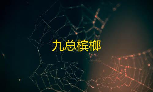 竞速外挂技术方案九总槟榔